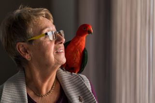 Snacha mi svěřila papouška. Jeho slova odhalila děsivé tajemství